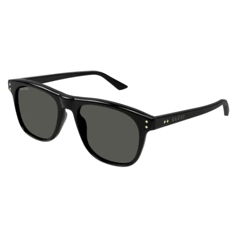 GG1893S 001
