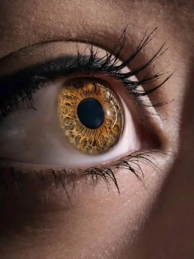 Gros plan d’un œil humain avec un iris doré détaillé, symbolisant la singularité du regard et l’expertise visuelle de Regards Uniques