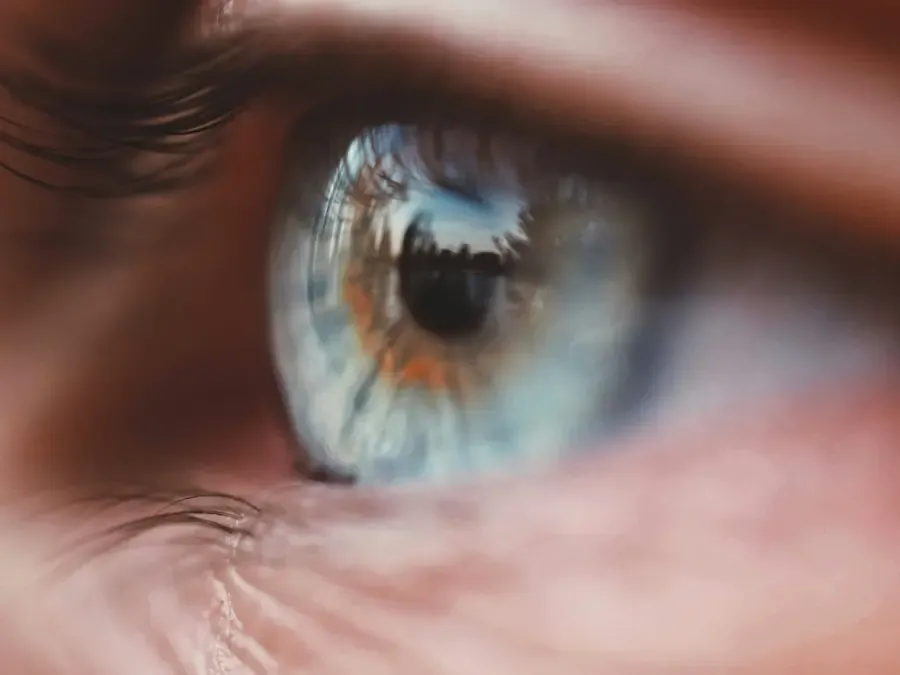 vision d'un oeil myope presbyte