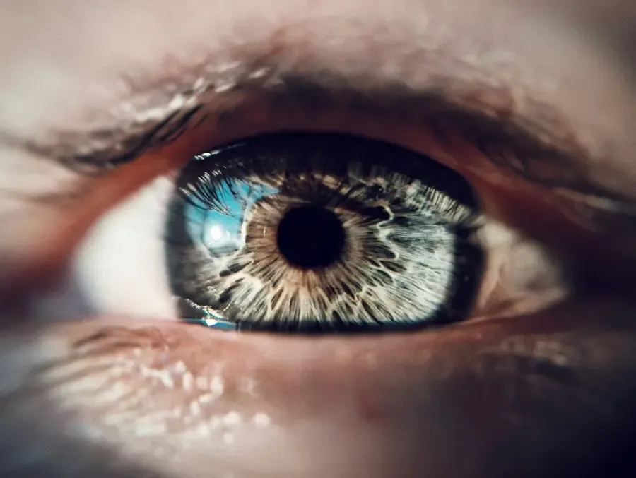 regard tourné vers l'horizon